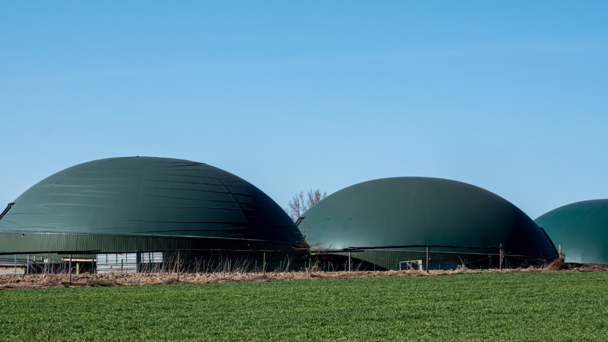 The Surprising New Power Player in EU Carbon Capture