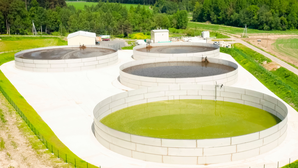Biogas Byproduct Finds New Life Under EU Rules