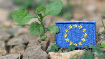 EU flag patch resting on stones beside a green seedling plant